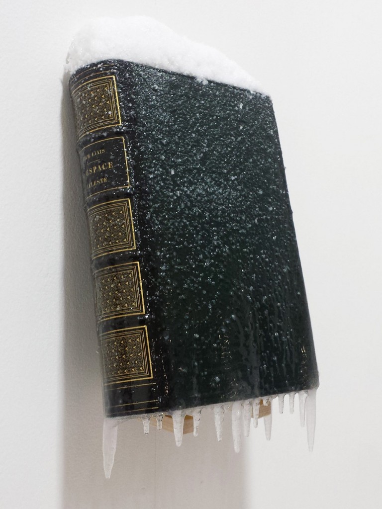 2015 / "L'espace céleste", livre ancien, résine, neige et givre artificiels, dimensions 28x8x15cm